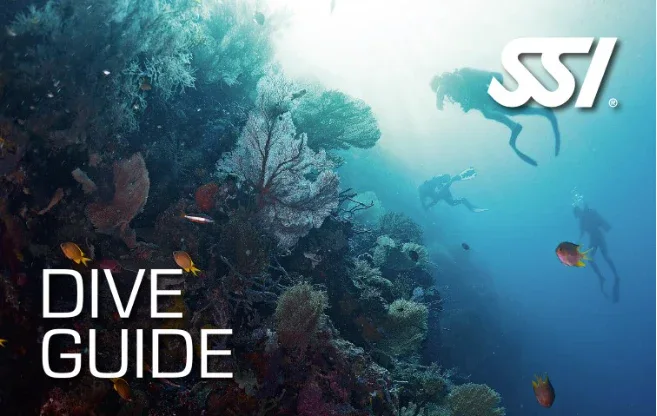 Dive Guide Course