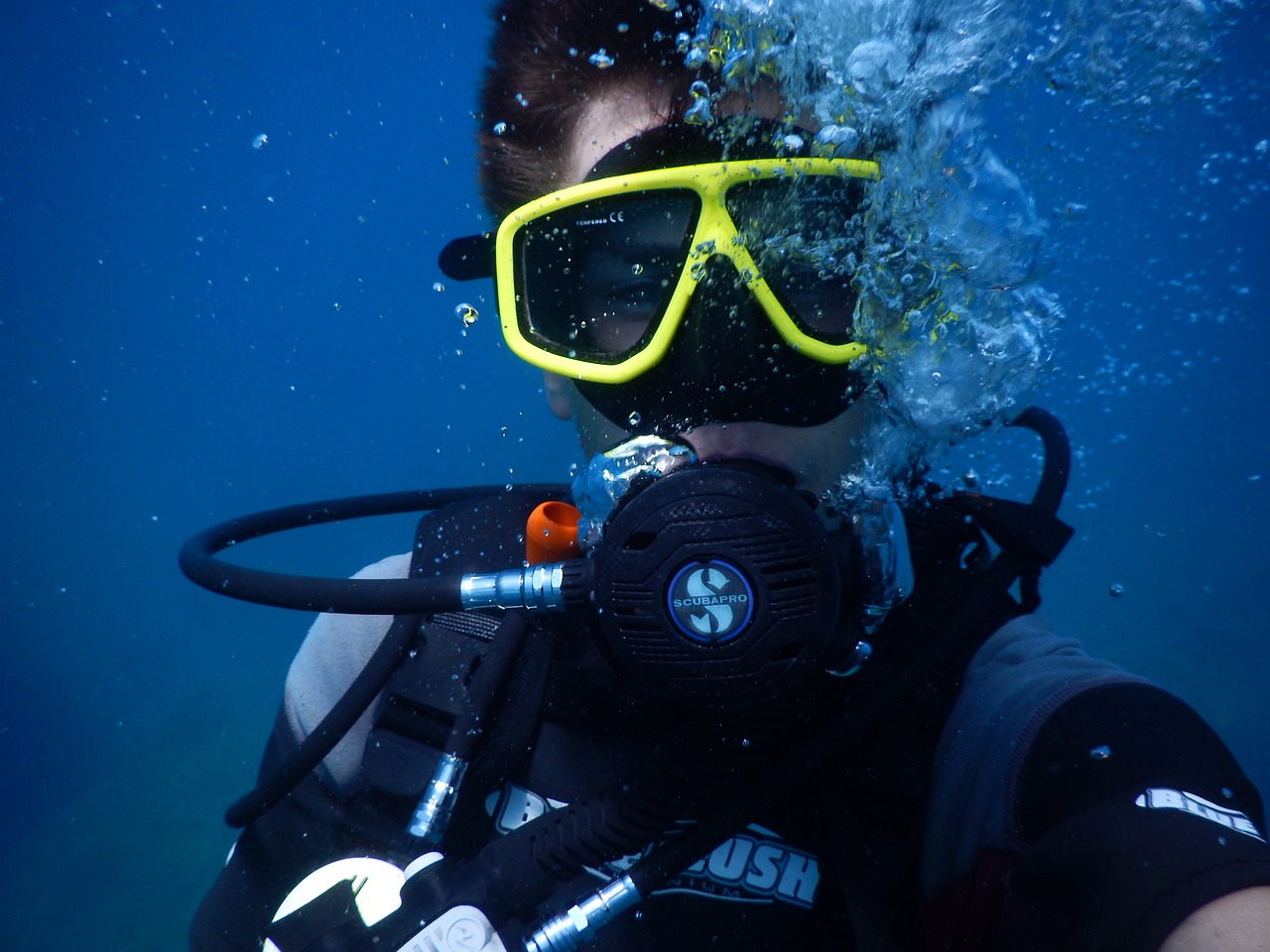 Night Dive