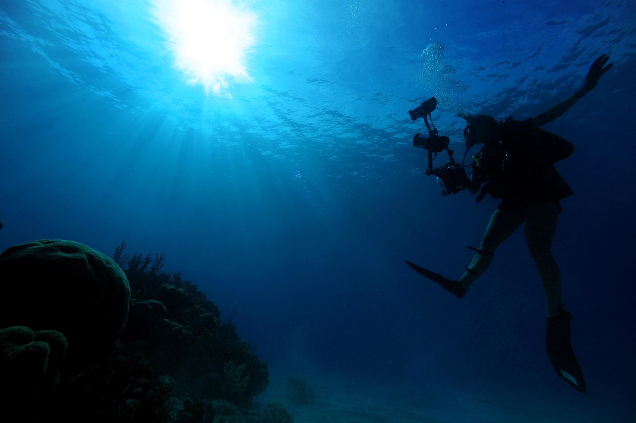 Underwater Photography
