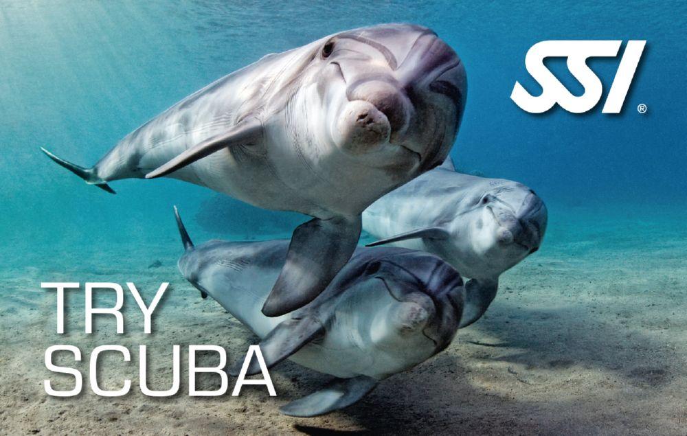 Try Scuba Diving Course