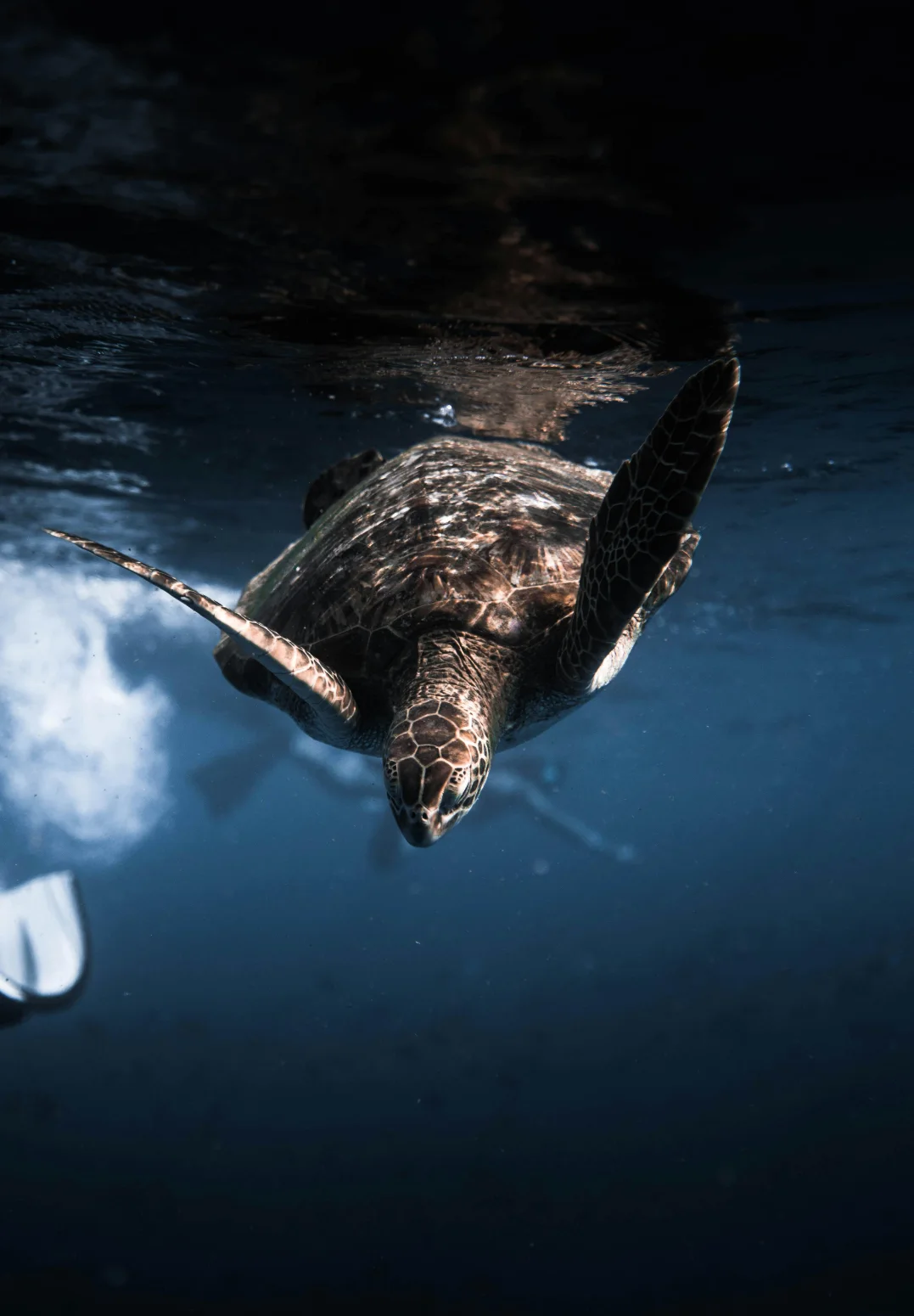 Maldives Discovery Package